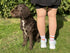 „Dog Love“ Socken – Für alle Hundeliebhaber! - Fietes-Pawluxe