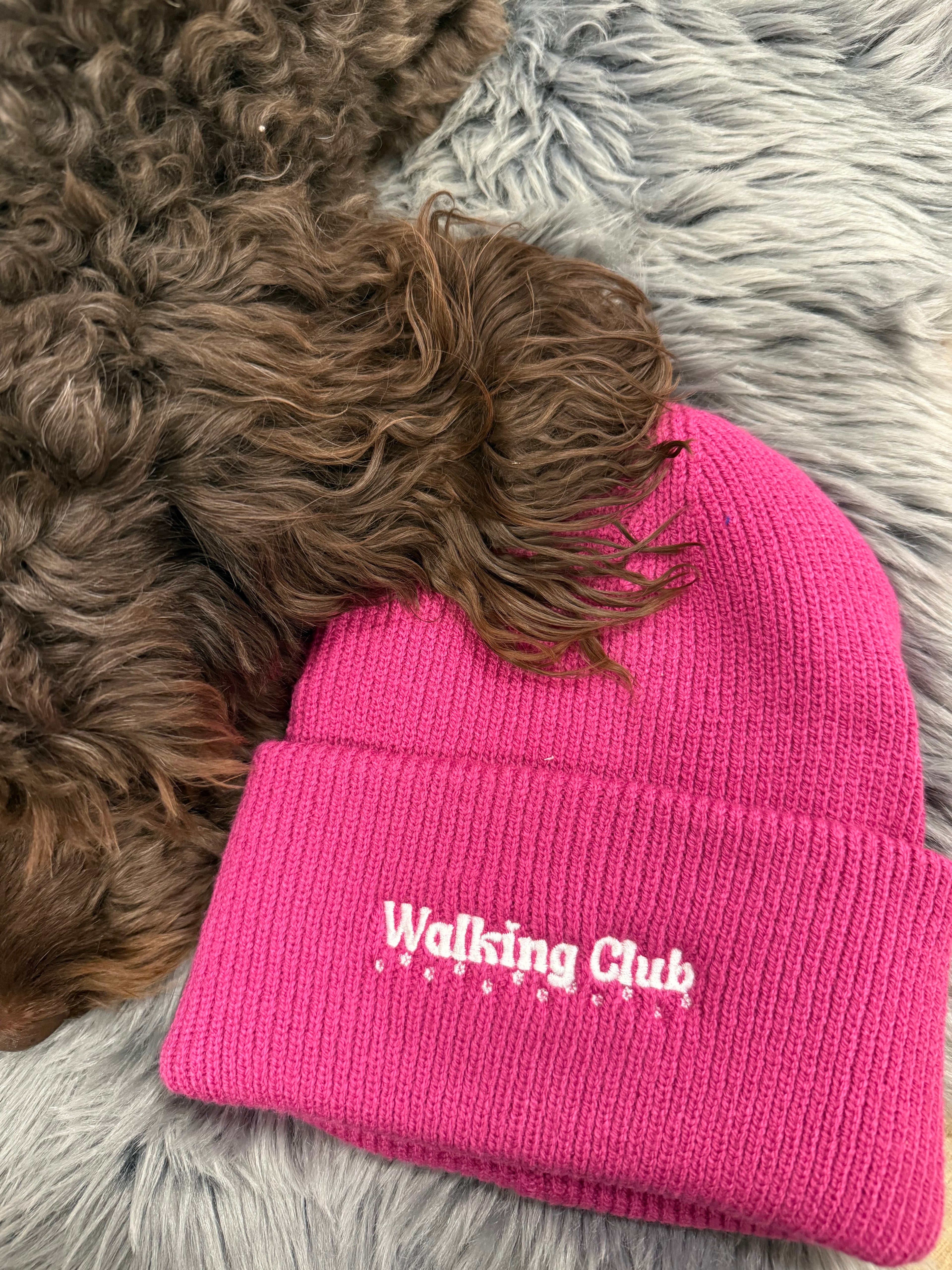 Gassicrew Beanie