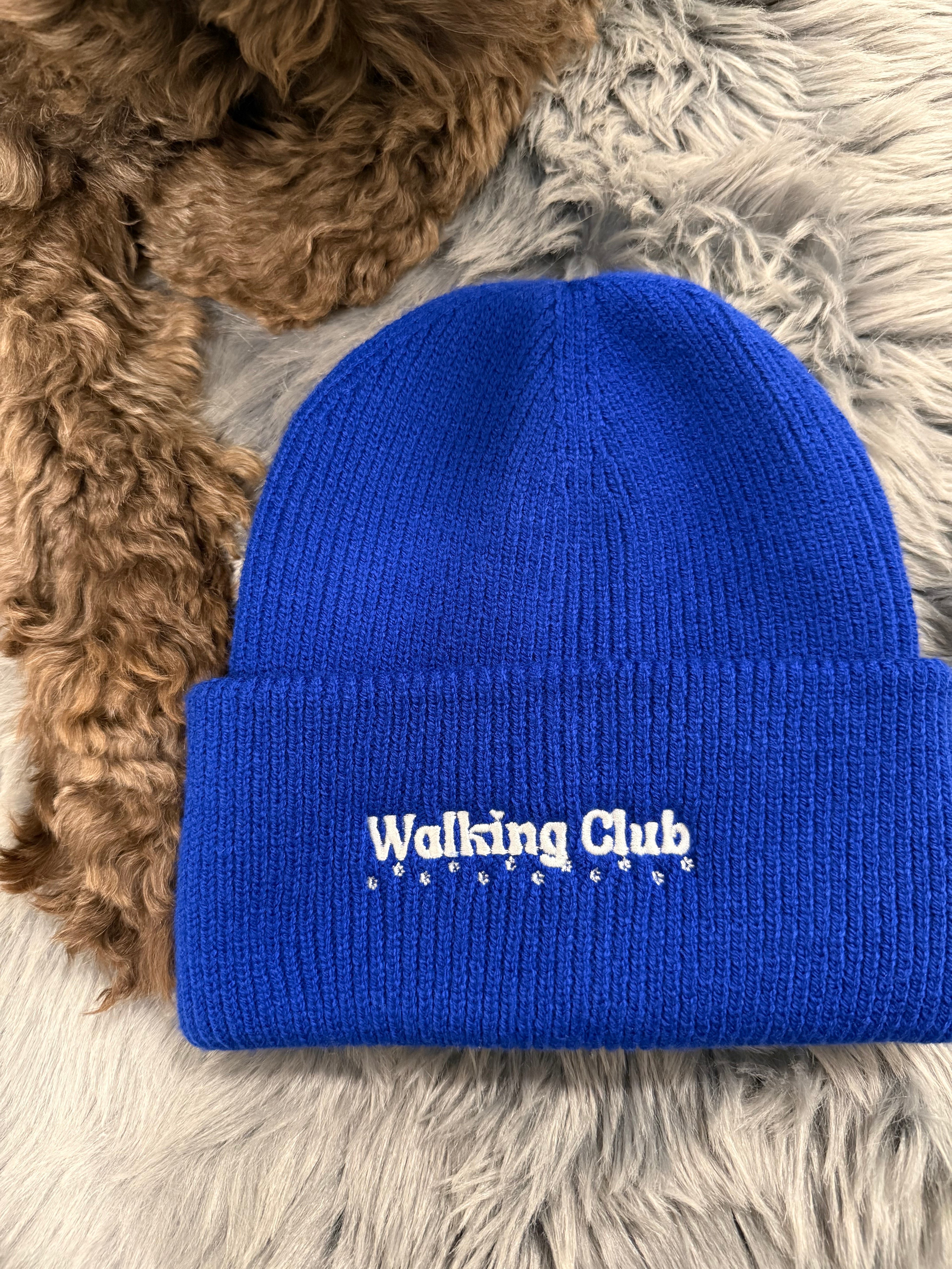 Gassicrew Beanie