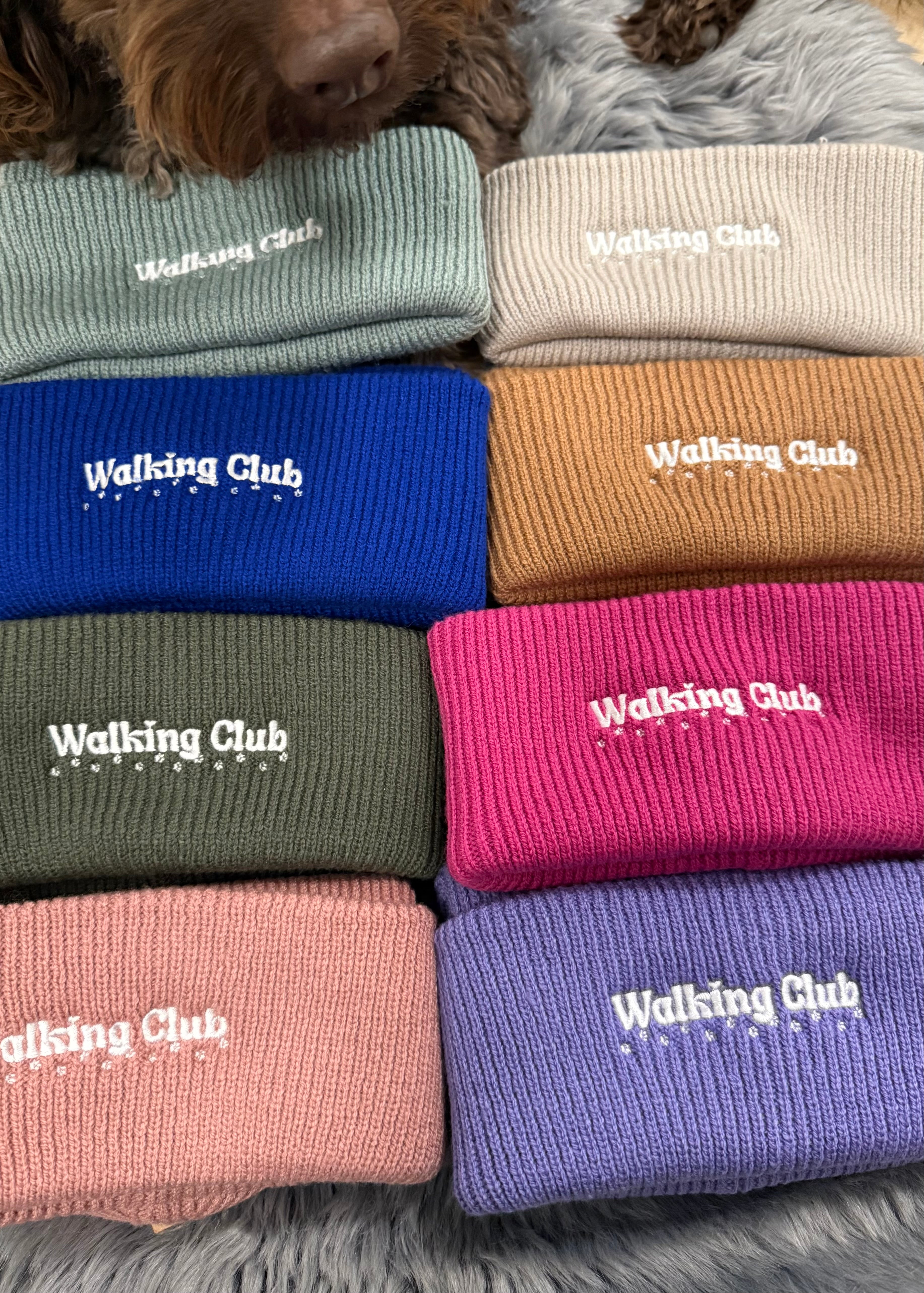 Walking Club - Beanie