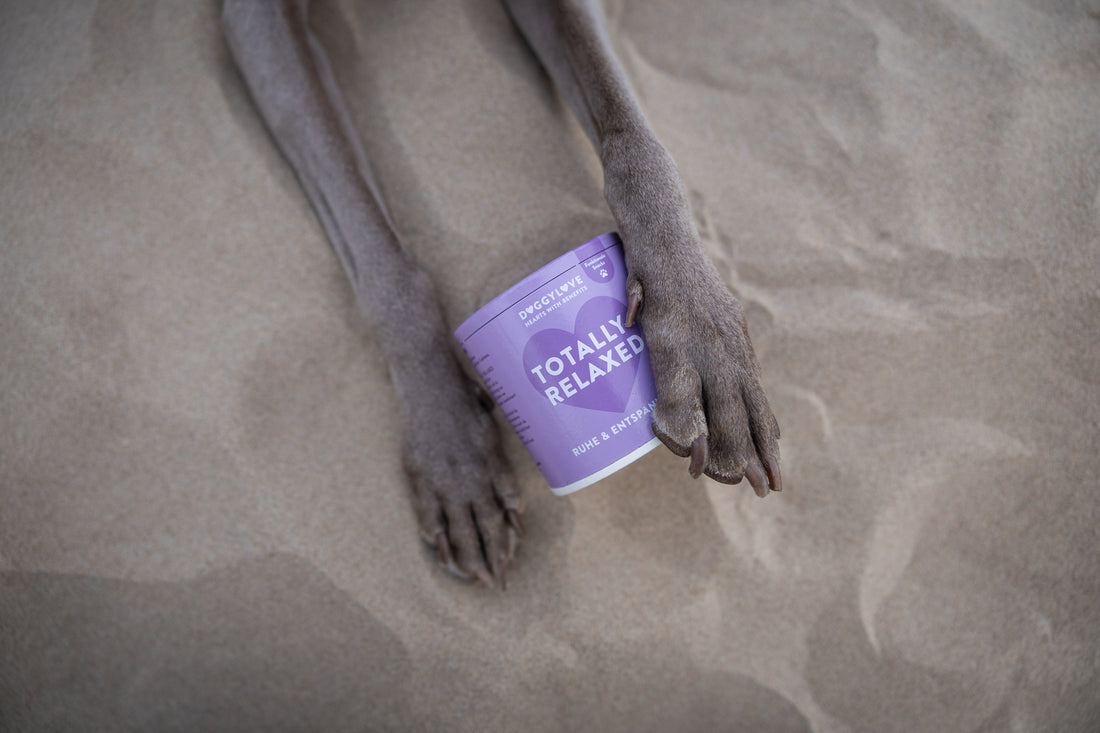 Doggy Love - Totally Relaxed