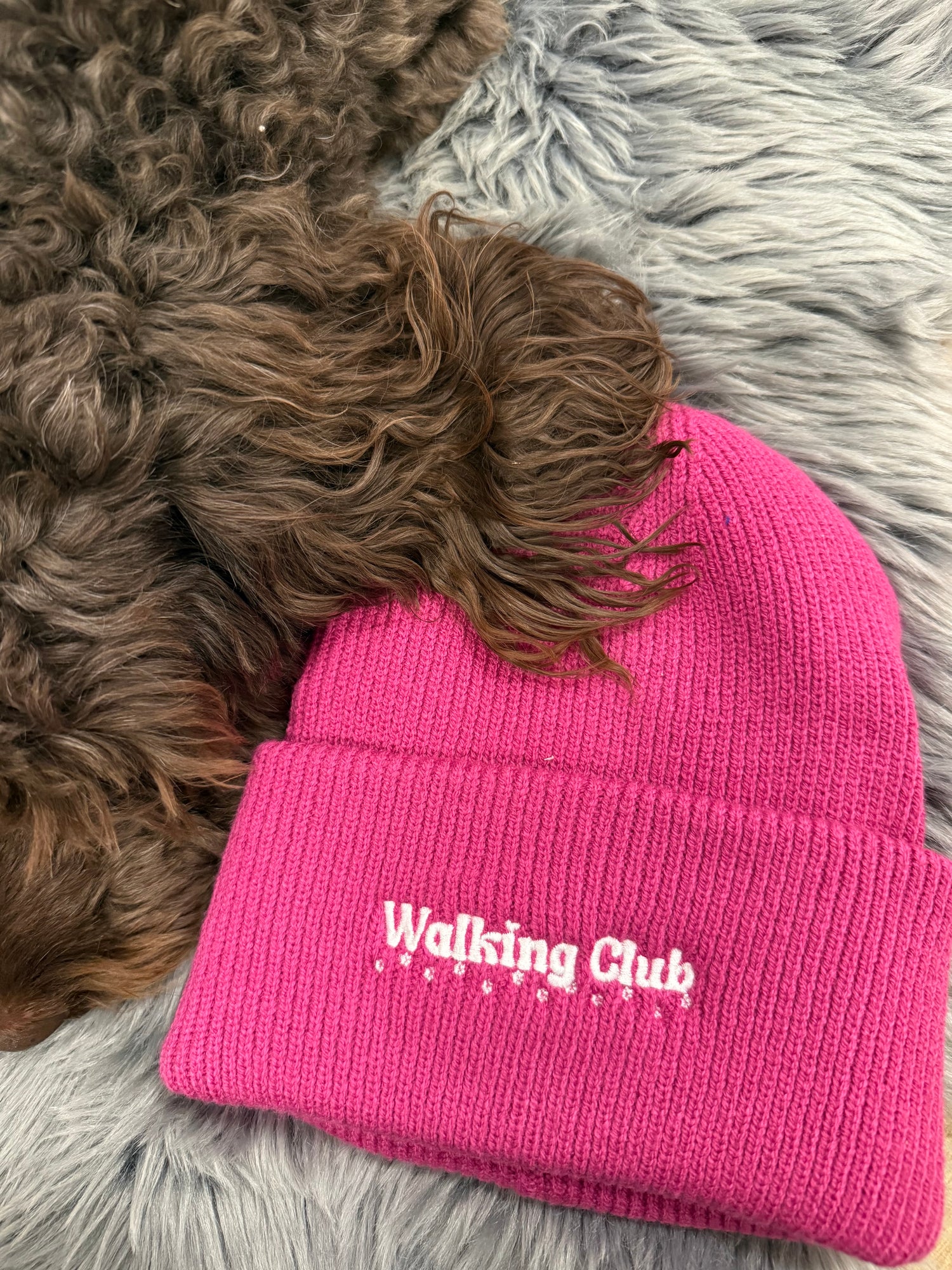 Gassicrew Beanie
